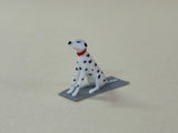 Dalmatian Sitting