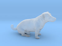 Jack Russell Terrier 3d printed