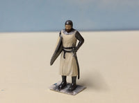 Knight Templar Standing 3d printed
