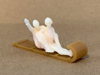 Snow Sledding Couples