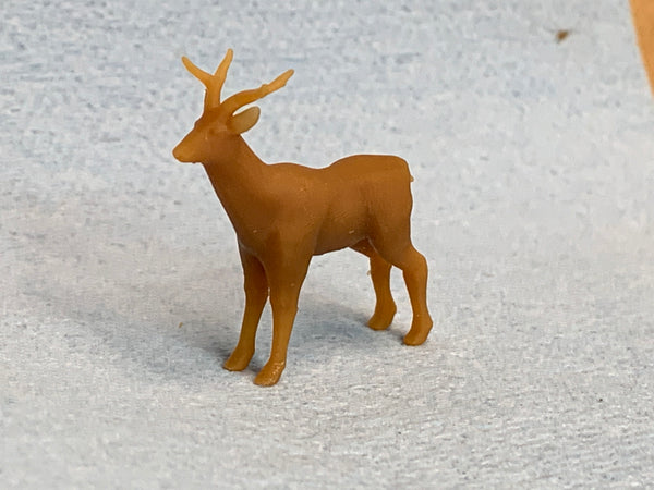 Deer Buck